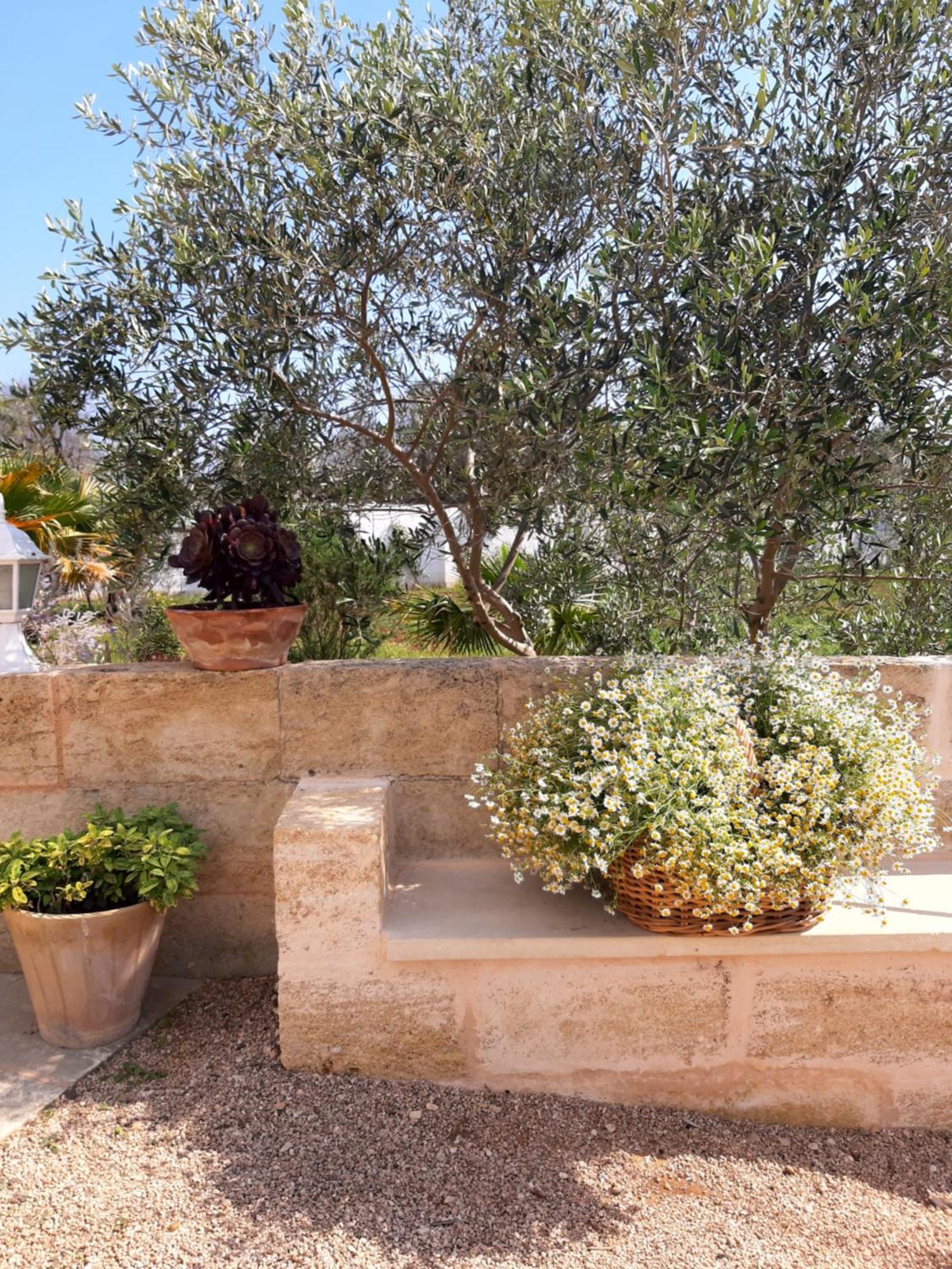 Villa Troisio Torre San Giovanni Ugento Eksteriør bilde